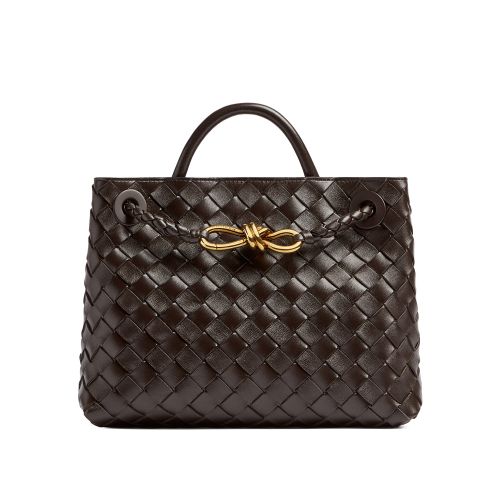 Bottega Veneta Small Andiamo 